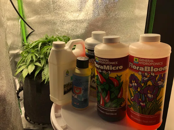 Best Coco Coir nutrients | Ironhead Method